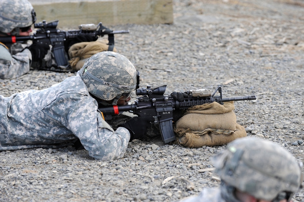 1-40th Cavalry Regiment (Airborne) buddy-team live fire