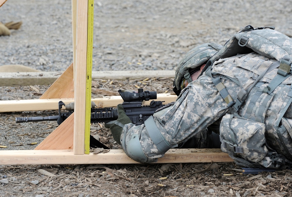 1-40th Cavalry Regiment (Airborne) buddy-team live fire