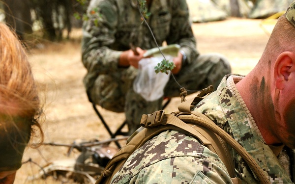 FTX 13 - defensive readiness