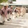 Wake Island Avengers Celebrate Cinco De Mayo, Honor Adopted School