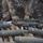 Munitions disposal