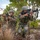 Indian soldiers share ambush techniques with US paratroopers Indian soldiers share ambush techniques with US paratroopers