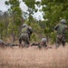 Indian soldiers share ambush techniques with US paratroopers