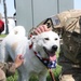 PRT Nangarhar reunites with base dog