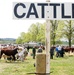10 agricultural shows for families