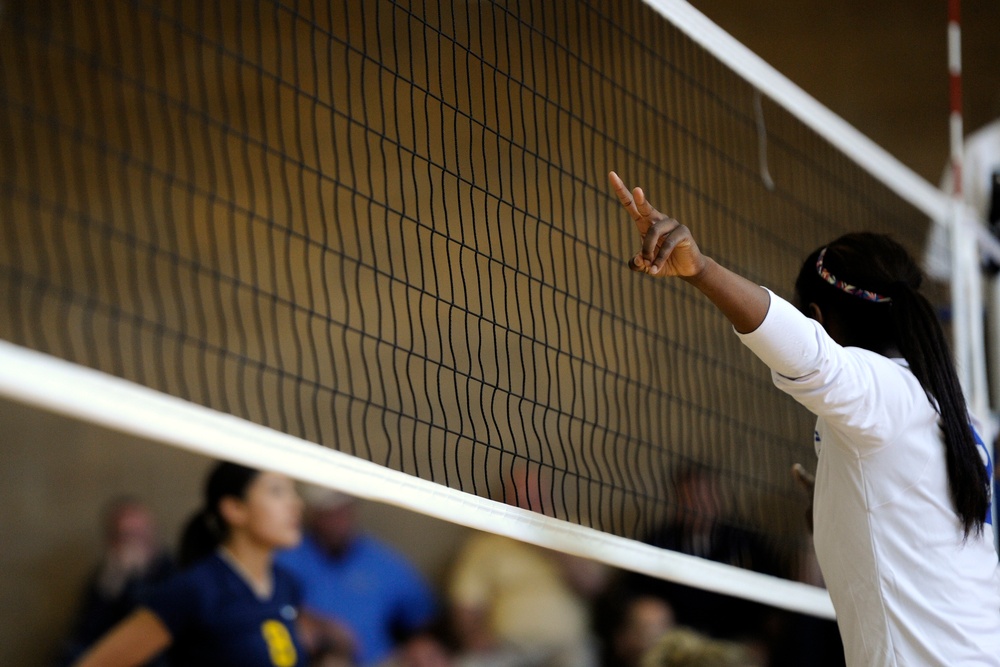 2013 United States Armed Forces Volleyball Championship