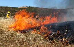 Heat is on for air station wildfire prevention and training