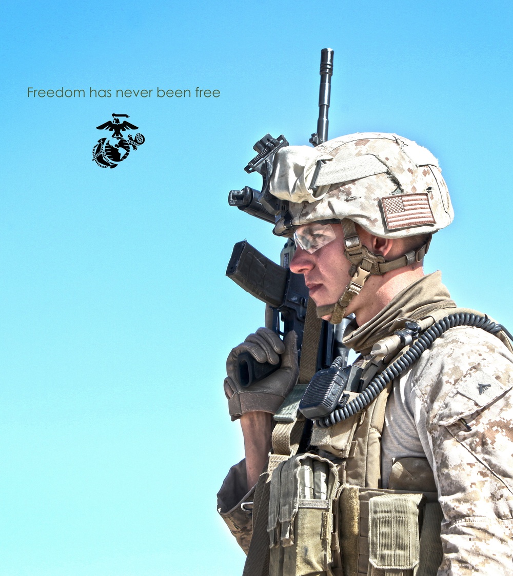 DVIDS - Images - Freedom