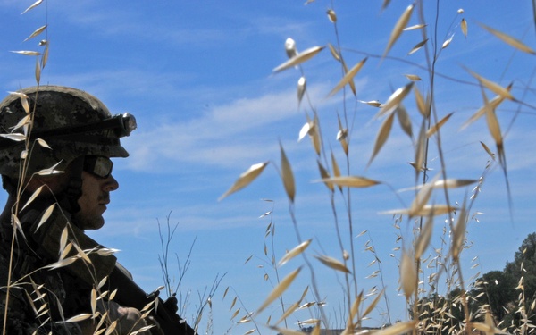 FTX 13 - FOB Wolfe