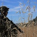 FTX 13 - FOB Wolfe