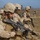Infantry Marines refine elite combat skills
