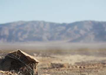 CLB-6 sacks Lead Mountain