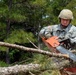 Ardent Sentry, Varnville S.C.