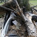 The 'Groundbreakers' clear heavy debris from the road in support of Ardent Sentry