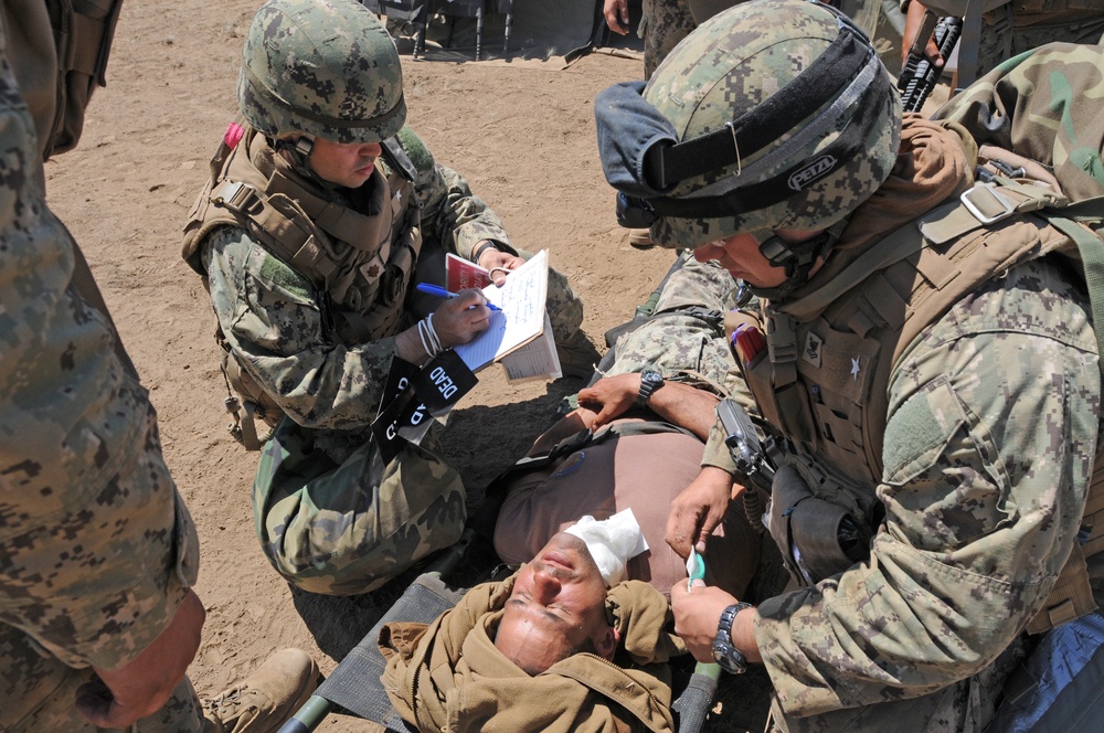 FTX 13 - Mass casualty