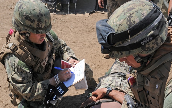 FTX 13 - Mass casualty