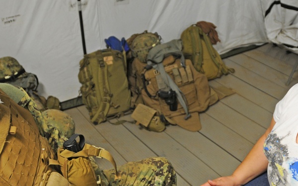 NMCB 3 Behavioral Health Professional Keeps Bees In Fight