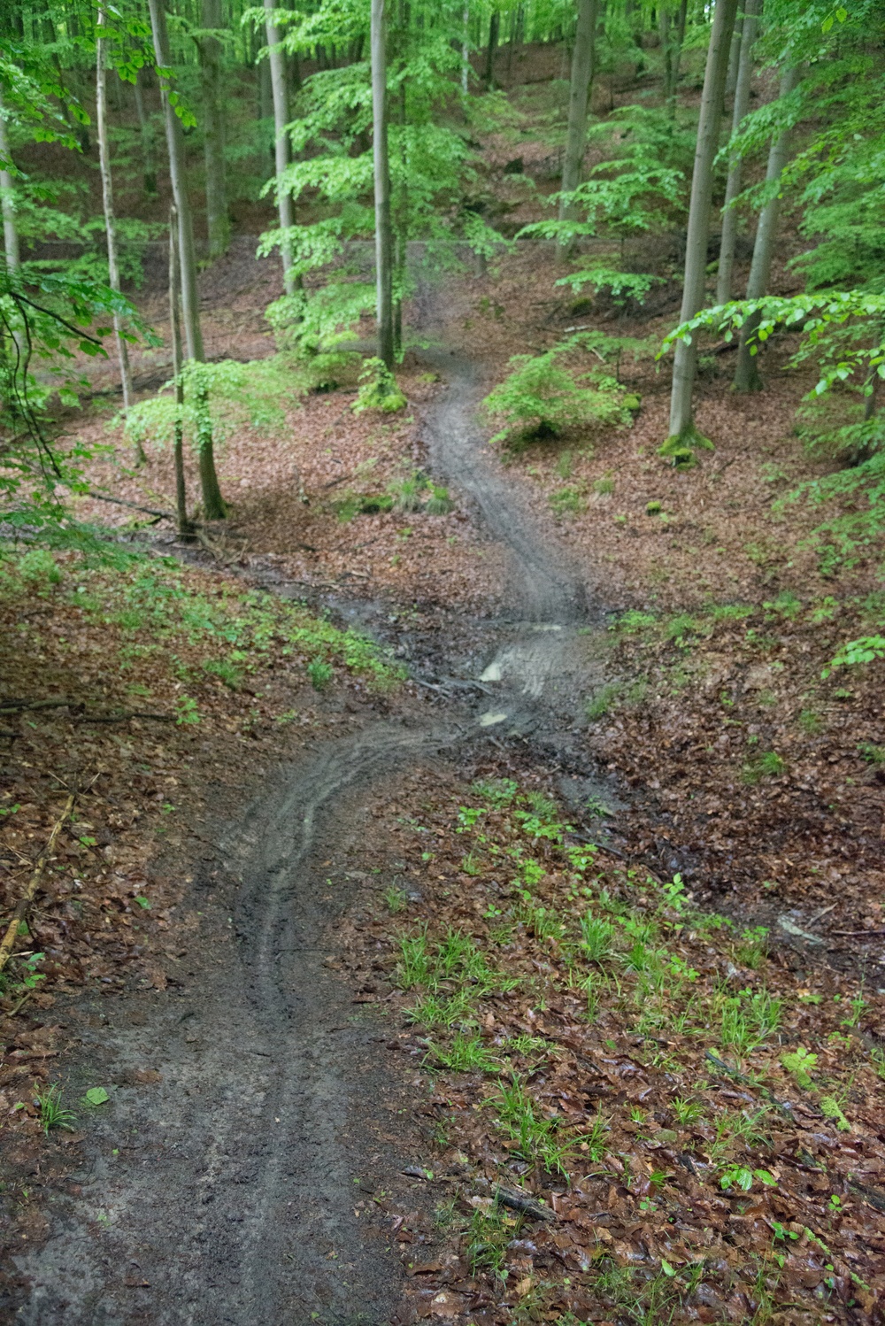 Ruck march and fitness trail