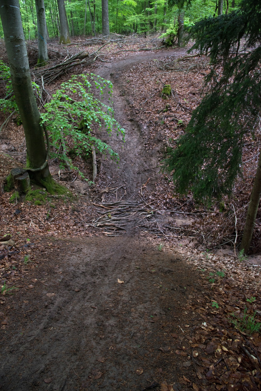 Ruck march and fitness trail