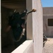 YA13 Company-level situational training exercise
