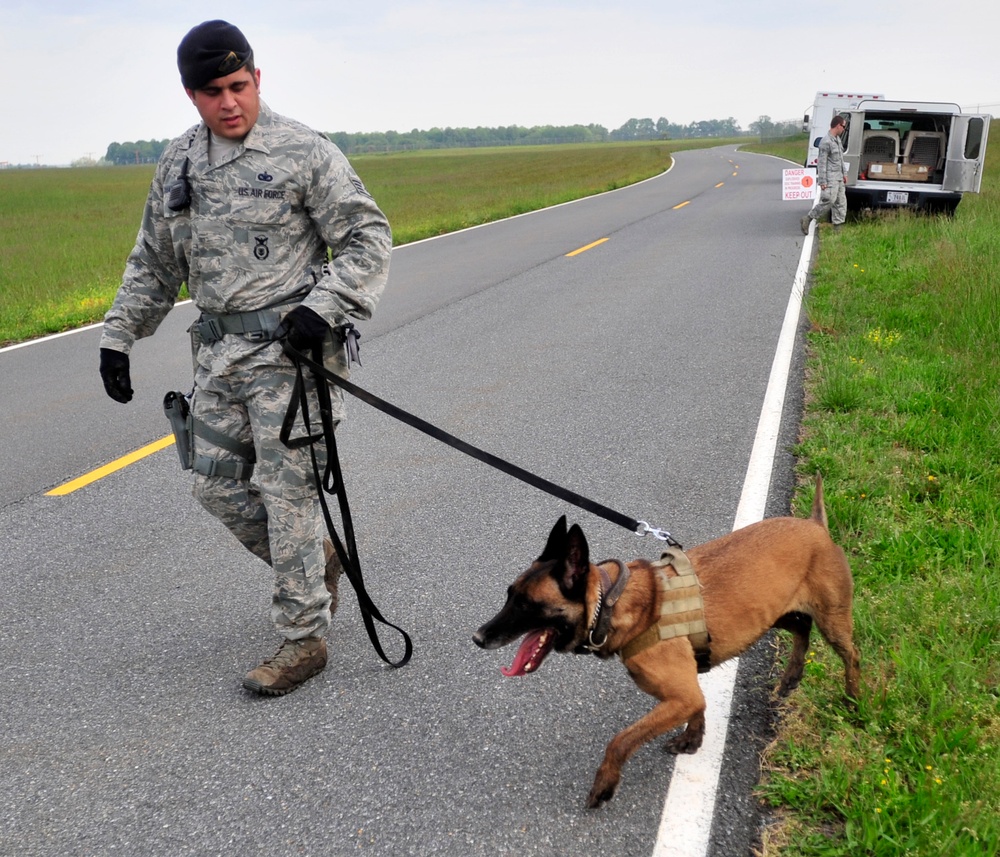 436th SFS dog handler proves his resilience