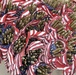 US Air Force Academy: Flag placement at cemetery