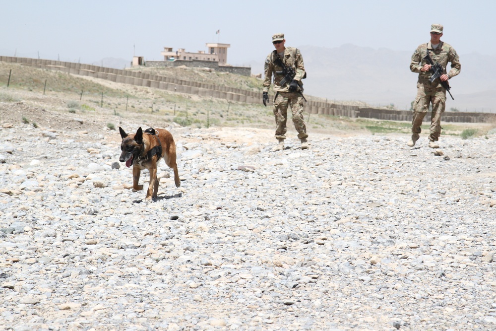 Man’s best friend trains to detect explosives in Afghanistan