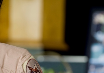 Transit Center honors fallen heroes