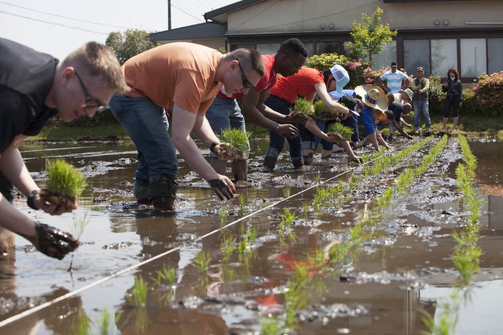 Marines get muddy during rice-planting event