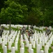 Flags In 2013