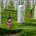 Old Guard soldiers plant flags at Arlington National Cemetery