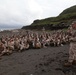 Marines, sailors reflect during Iwo Jima visit