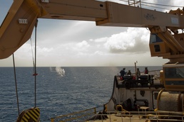 Tradewinds 2013 thrusts Coast Guardsmen from US and Dominican Republic together for gunnery exercise