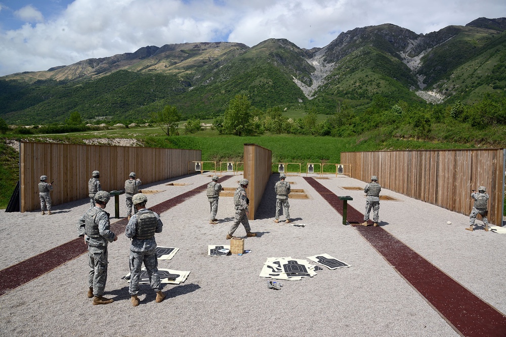 Marksmanship training