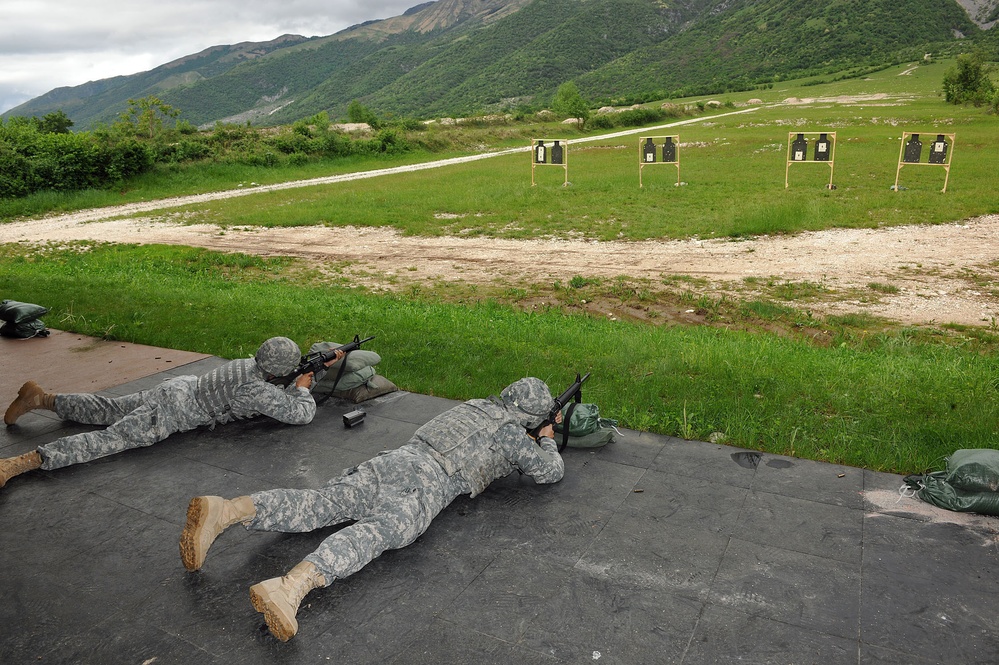 Marksmanship training