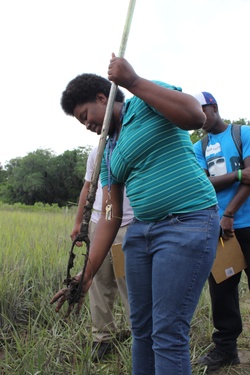 Corps hosts wetlands field exercise at Savannah State University [Image 2 of 5]