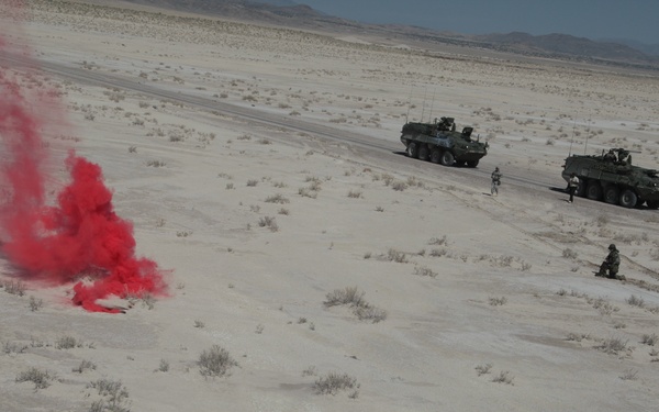 23rd CBRN Battalion training at Dugway