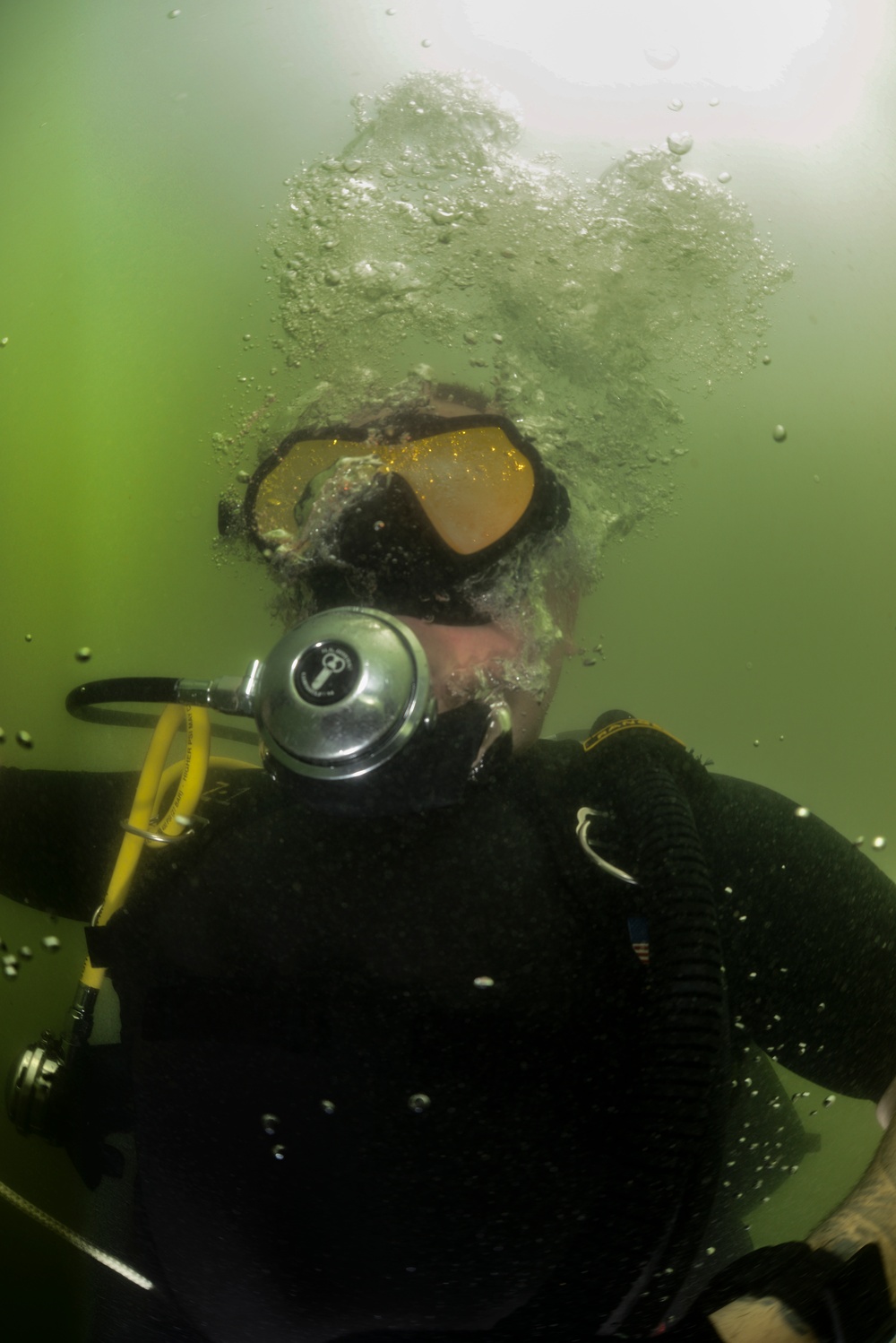 Anti-terrorism force protection dive