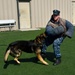 Military Working Dog Training Exercises