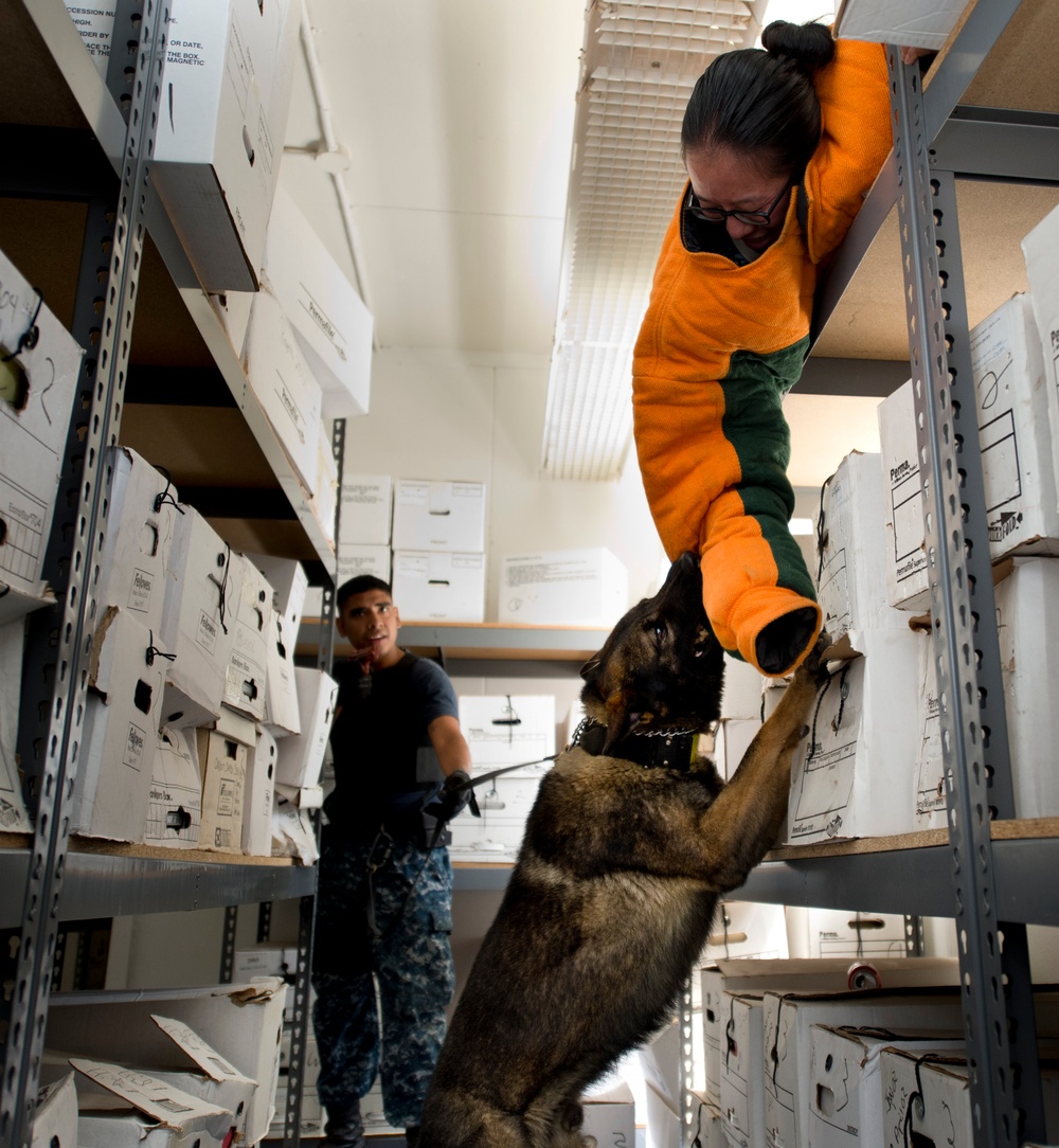 Military Working Dog Training Exercises
