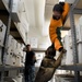 Military Working Dog Training Exercises
