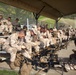 ‘Island Warriors’ conquer range with IAR training