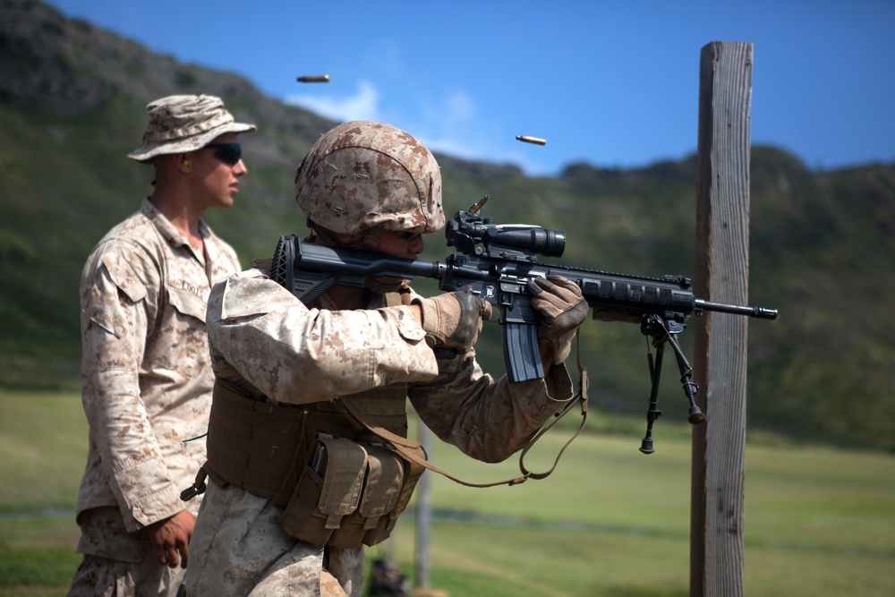 ‘Island Warriors’ conquer range with IAR training