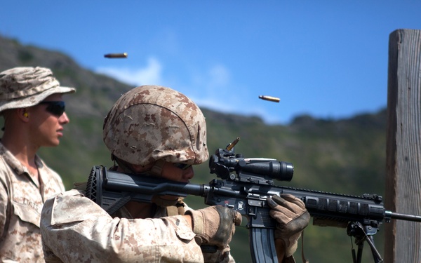 ‘Island Warriors’ conquer range with IAR training