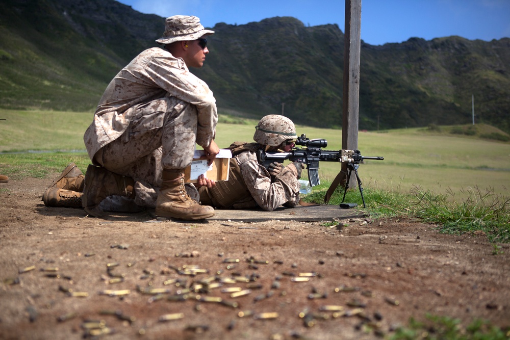 ‘Island Warriors’ conquer range with IAR training