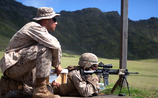 ‘Island Warriors’ conquer range with IAR training