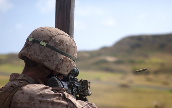 ‘Island Warriors’ conquer range with IAR training