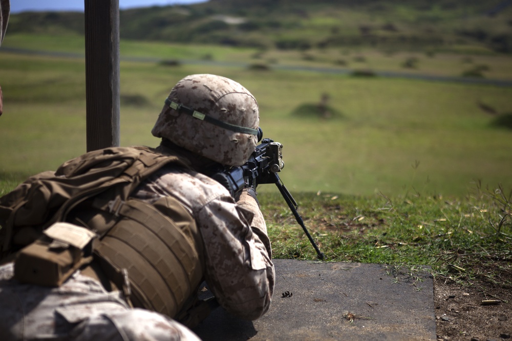 ‘Island Warriors’ conquer range with IAR training