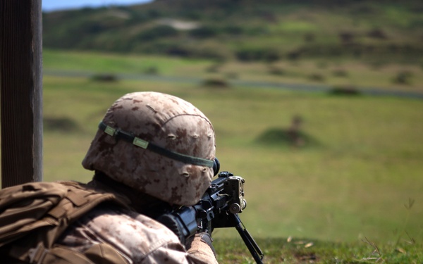 ‘Island Warriors’ conquer range with IAR training