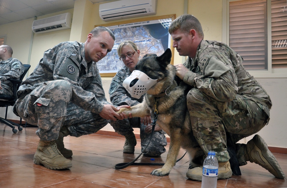 Camp, CJTF-HOA team for military working dog care under fire